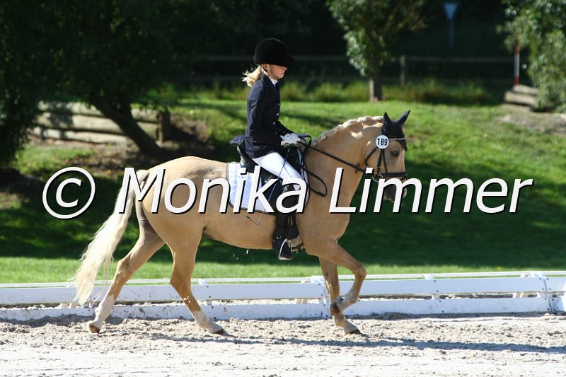 109M6756_Golden Dancer Junior B_Dressur L_Mannschaft.JPG